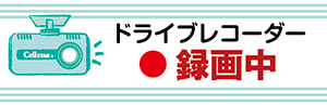 GDO-35 ドライブレコーダーステッカー (パステルグリーン小)